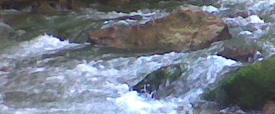 kep006.jpg kep006.jpg