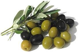 oliva-bogyo.jpg