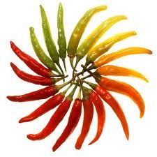paprika_3_images.jpg