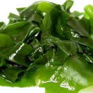 tengeri-alga.png